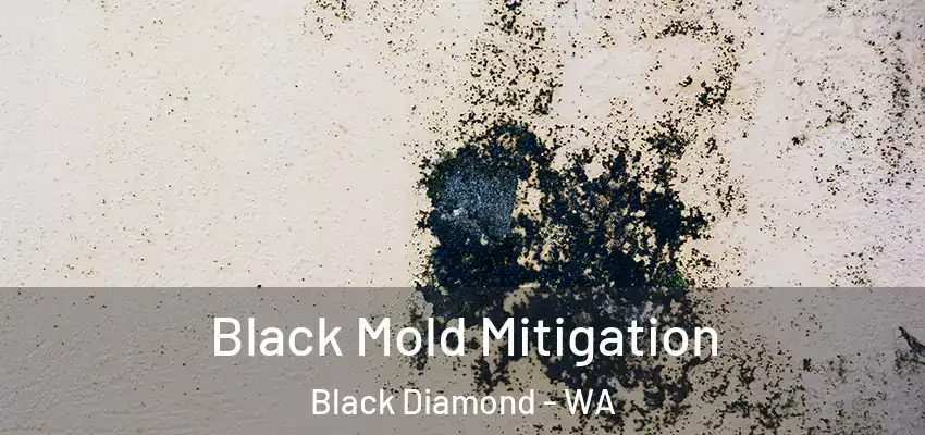  Black Mold Mitigation Black Diamond - WA