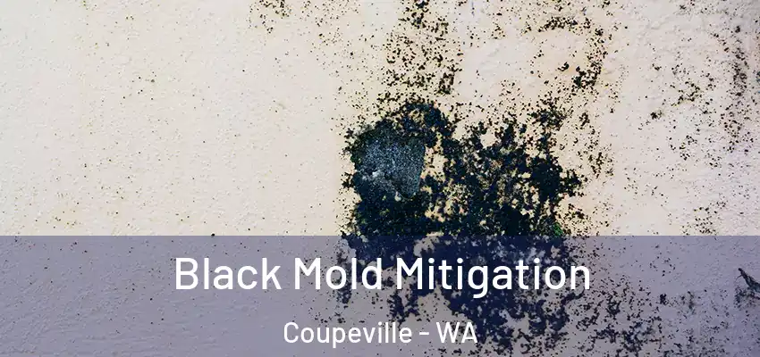  Black Mold Mitigation Coupeville - WA