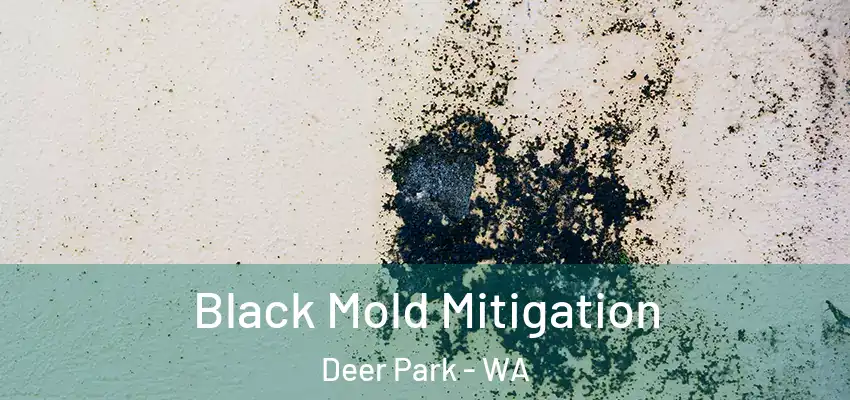 Black Mold Mitigation Deer Park - WA