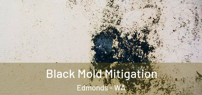  Black Mold Mitigation Edmonds - WA