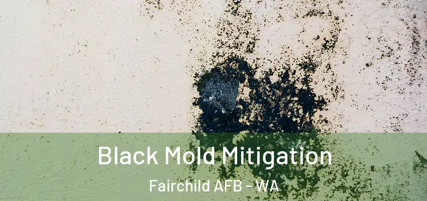  Black Mold Mitigation Fairchild AFB - WA