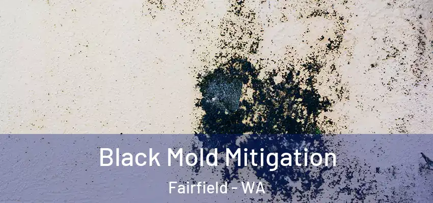  Black Mold Mitigation Fairfield - WA