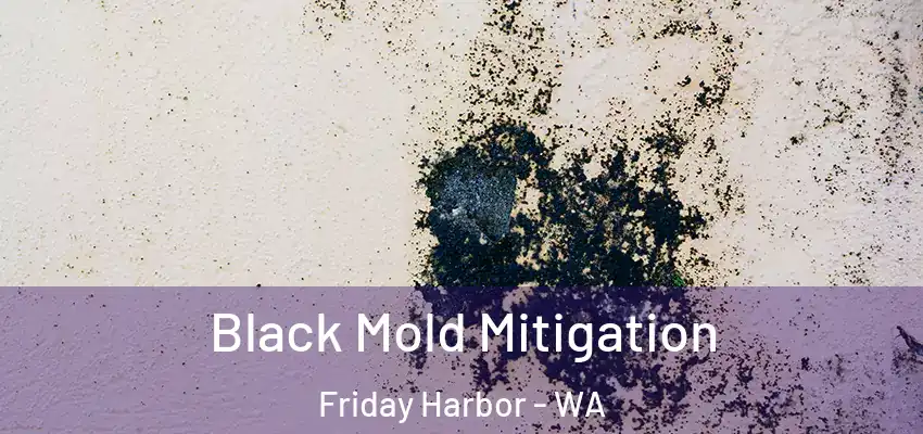  Black Mold Mitigation Friday Harbor - WA