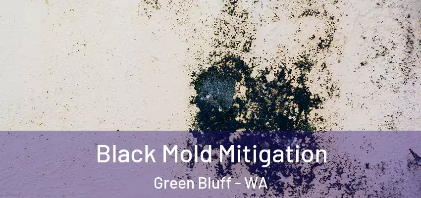  Black Mold Mitigation Green Bluff - WA