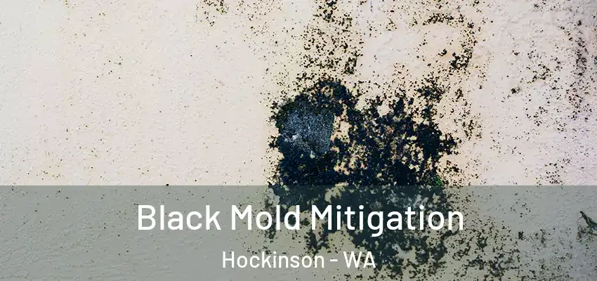 Black Mold Mitigation Hockinson - WA