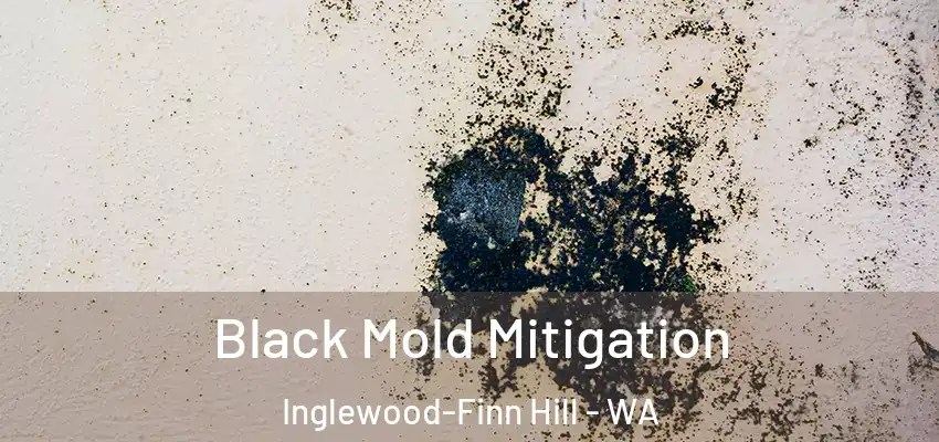  Black Mold Mitigation Inglewood-Finn Hill - WA