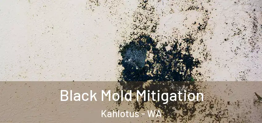  Black Mold Mitigation Kahlotus - WA