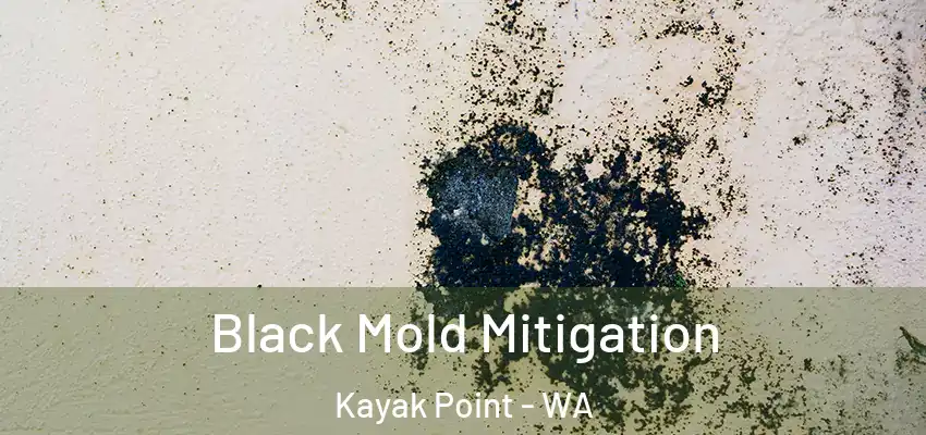  Black Mold Mitigation Kayak Point - WA