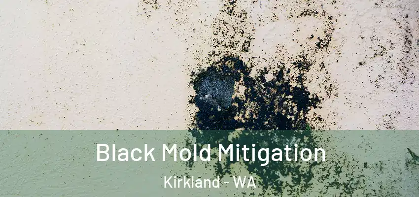  Black Mold Mitigation Kirkland - WA
