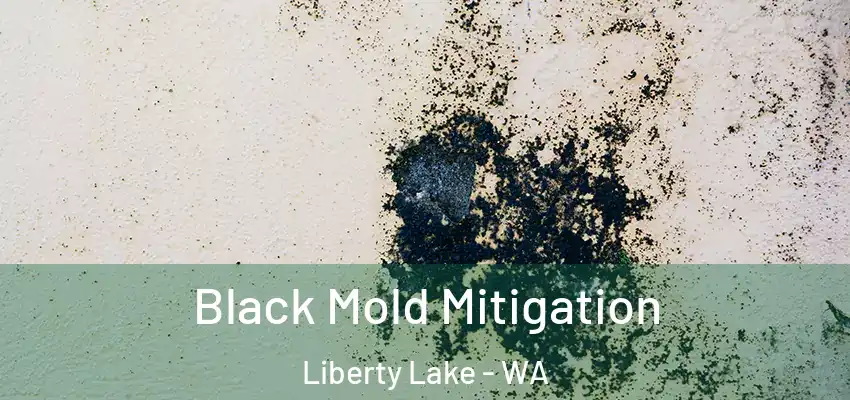  Black Mold Mitigation Liberty Lake - WA