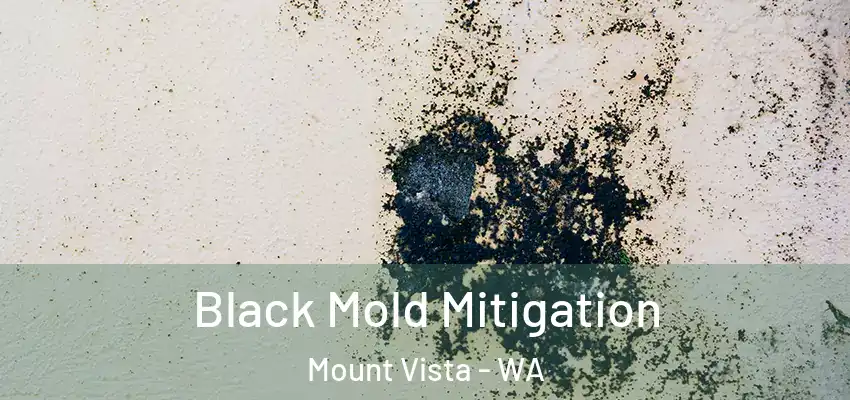 Black Mold Mitigation Mount Vista - WA
