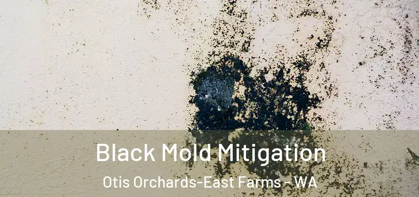  Black Mold Mitigation Otis Orchards-East Farms - WA