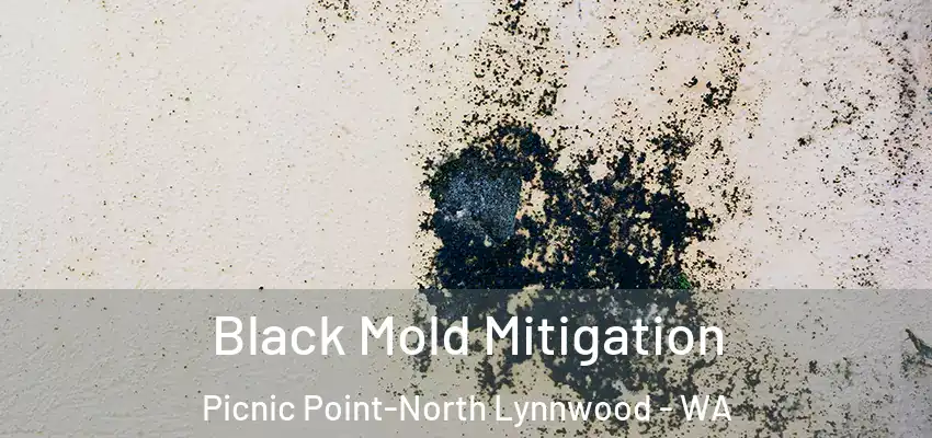  Black Mold Mitigation Picnic Point-North Lynnwood - WA