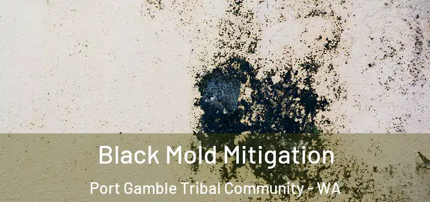  Black Mold Mitigation Port Gamble Tribal Community - WA