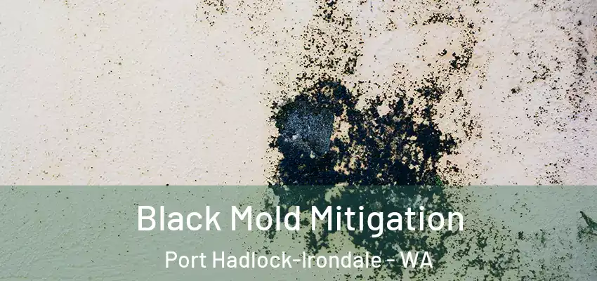Black Mold Mitigation Port Hadlock-Irondale - WA