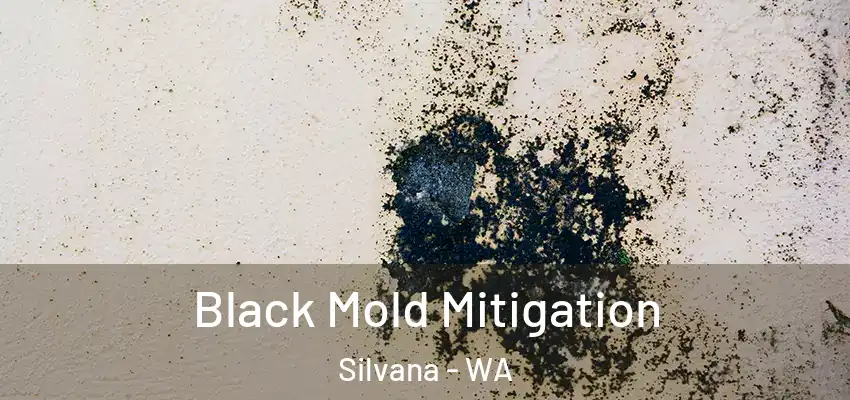Black Mold Mitigation Silvana - WA