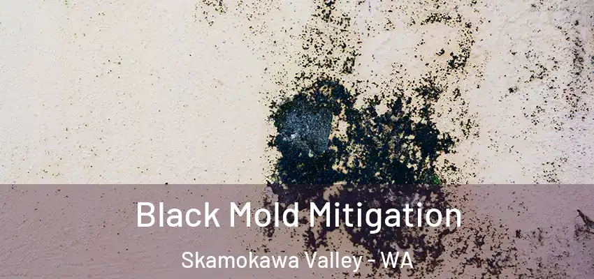 Black Mold Mitigation Skamokawa Valley - WA