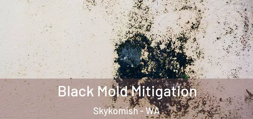  Black Mold Mitigation Skykomish - WA