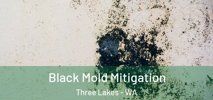  Black Mold Mitigation Three Lakes - WA