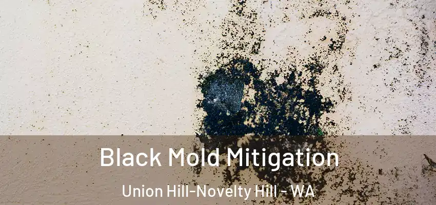  Black Mold Mitigation Union Hill-Novelty Hill - WA