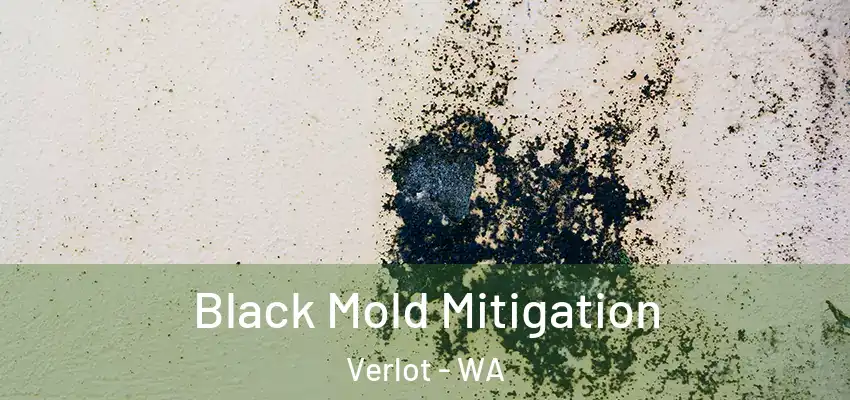 Black Mold Mitigation Verlot - WA