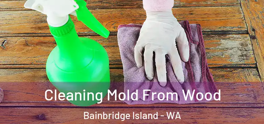  Cleaning Mold From Wood Bainbridge Island - WA