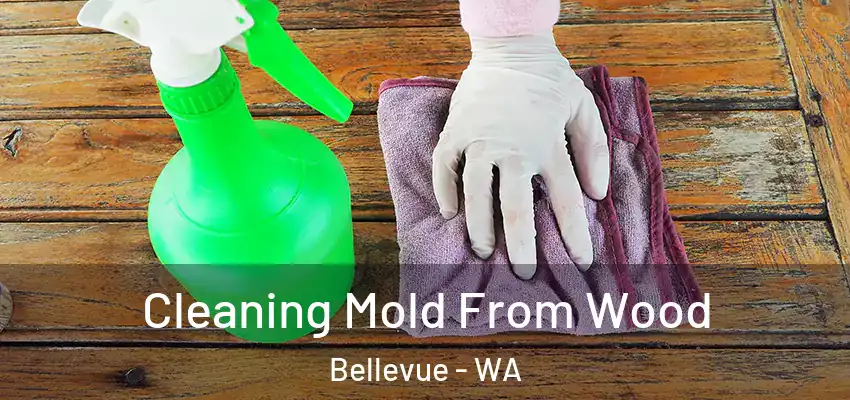  Cleaning Mold From Wood Bellevue - WA