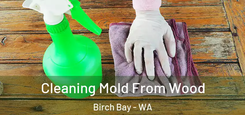  Cleaning Mold From Wood Birch Bay - WA