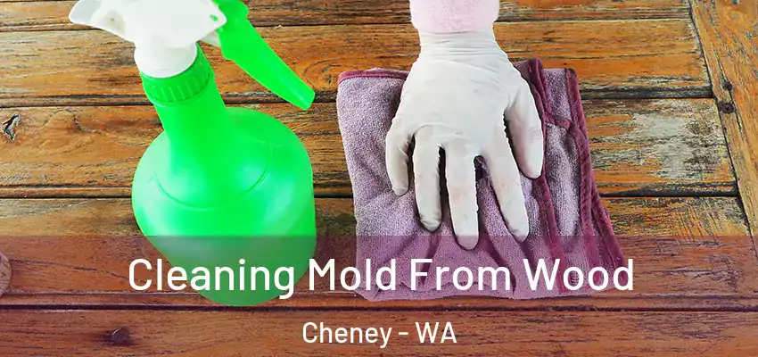  Cleaning Mold From Wood Cheney - WA