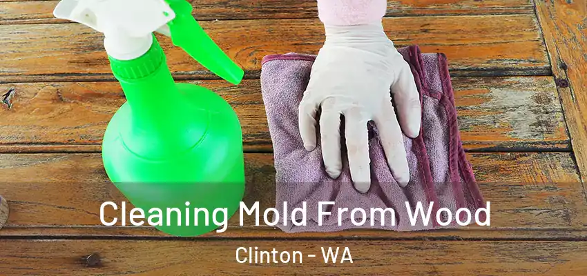  Cleaning Mold From Wood Clinton - WA