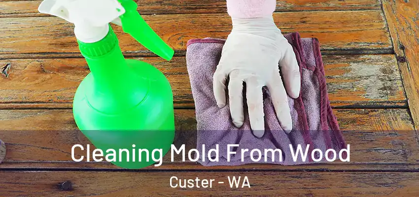  Cleaning Mold From Wood Custer - WA