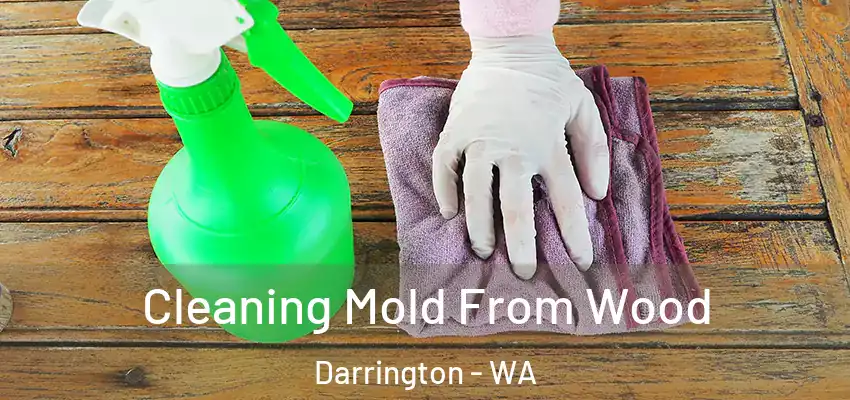  Cleaning Mold From Wood Darrington - WA