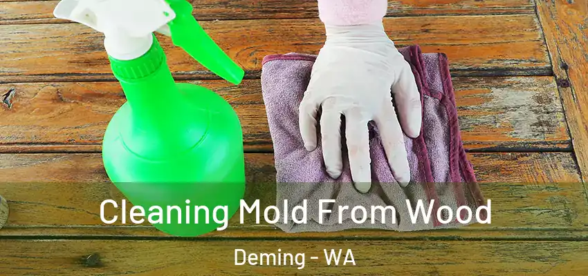  Cleaning Mold From Wood Deming - WA