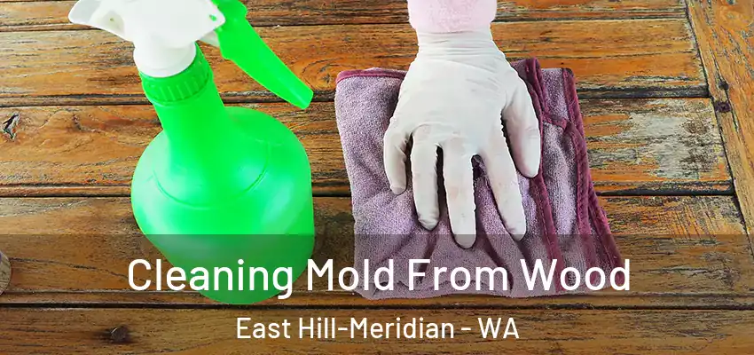  Cleaning Mold From Wood East Hill-Meridian - WA