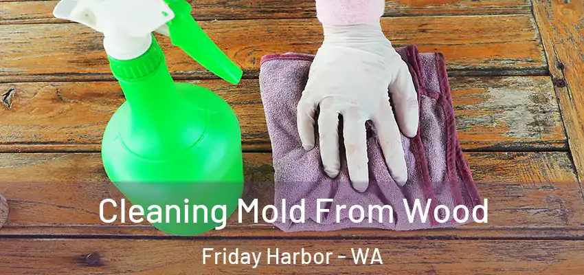  Cleaning Mold From Wood Friday Harbor - WA