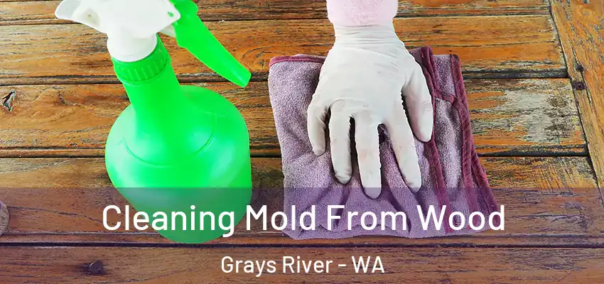 Cleaning Mold From Wood Grays River - WA