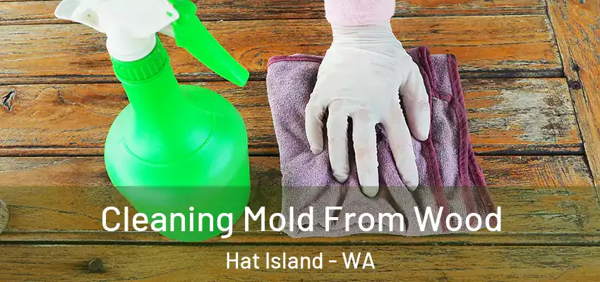  Cleaning Mold From Wood Hat Island - WA