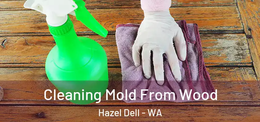Cleaning Mold From Wood Hazel Dell - WA
