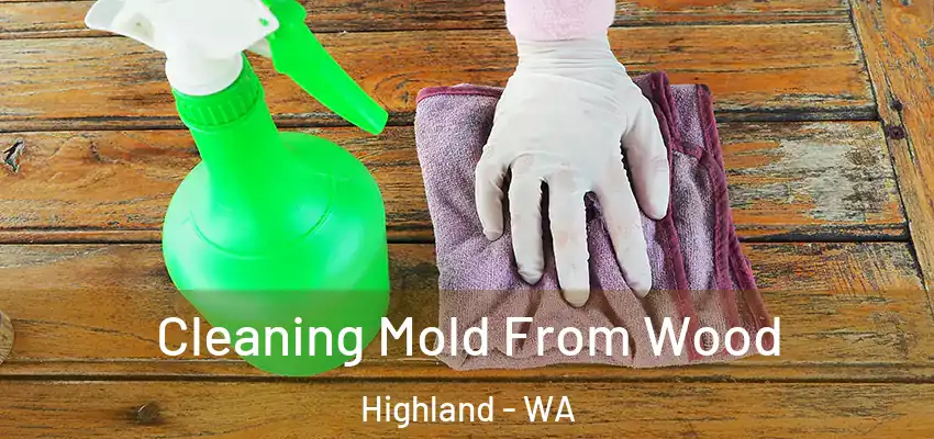 Cleaning Mold From Wood Highland - WA