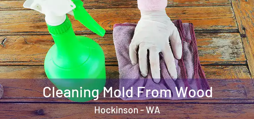  Cleaning Mold From Wood Hockinson - WA