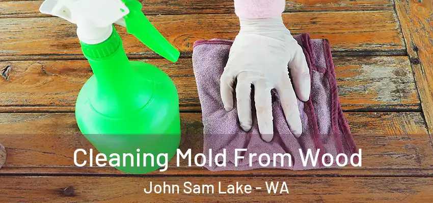  Cleaning Mold From Wood John Sam Lake - WA