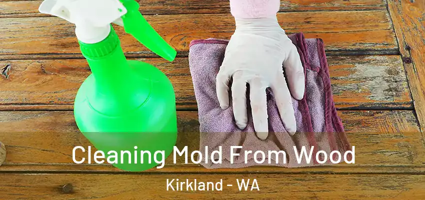  Cleaning Mold From Wood Kirkland - WA