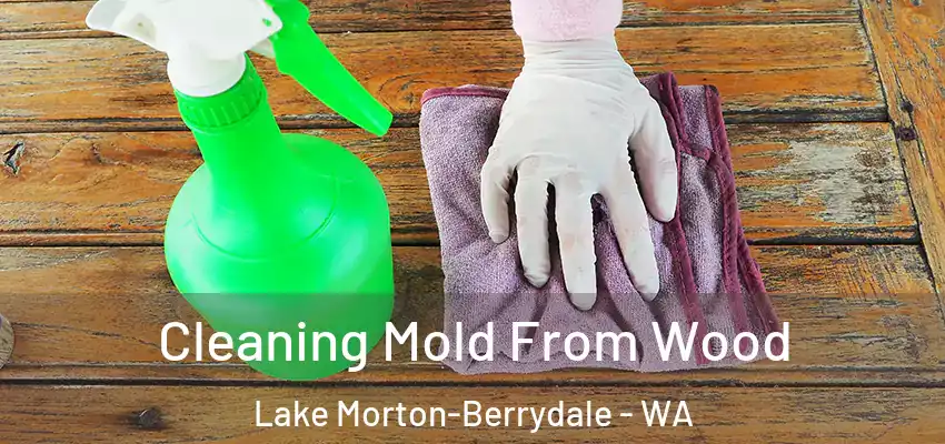  Cleaning Mold From Wood Lake Morton-Berrydale - WA