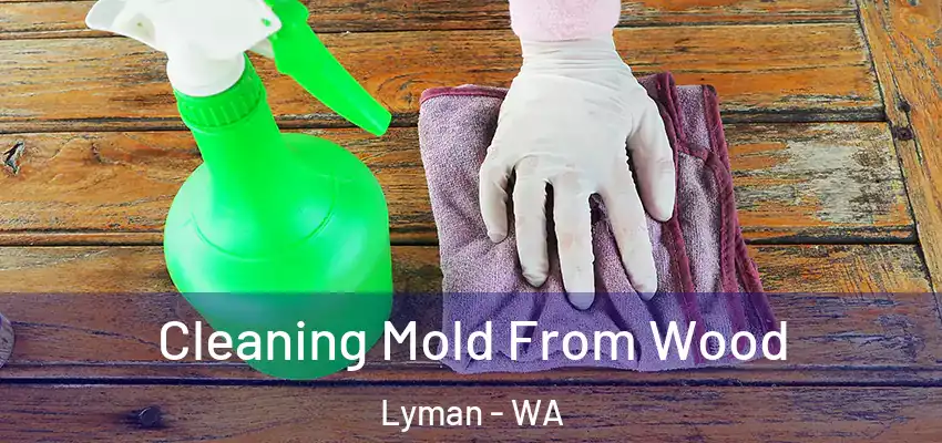  Cleaning Mold From Wood Lyman - WA