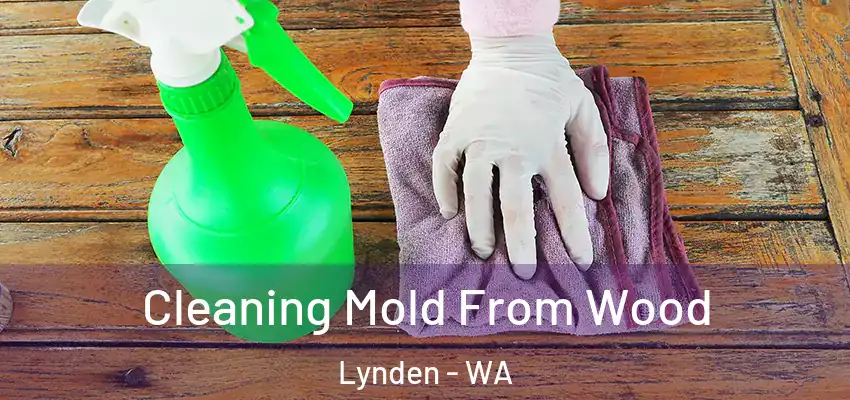 Cleaning Mold From Wood Lynden - WA