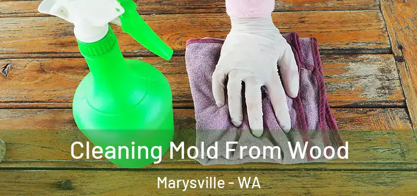Cleaning Mold From Wood Marysville - WA