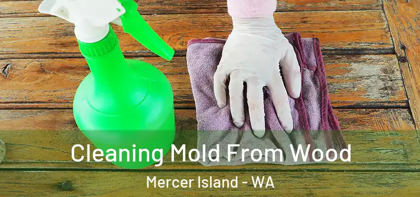  Cleaning Mold From Wood Mercer Island - WA