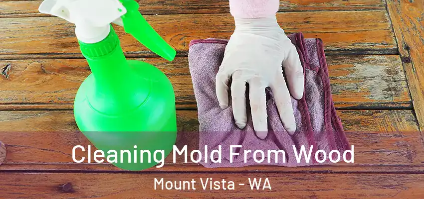 Cleaning Mold From Wood Mount Vista - WA