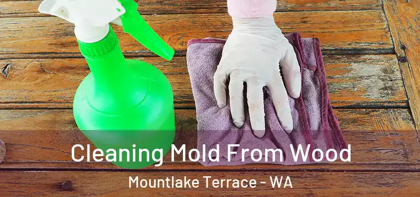 Cleaning Mold From Wood Mountlake Terrace - WA