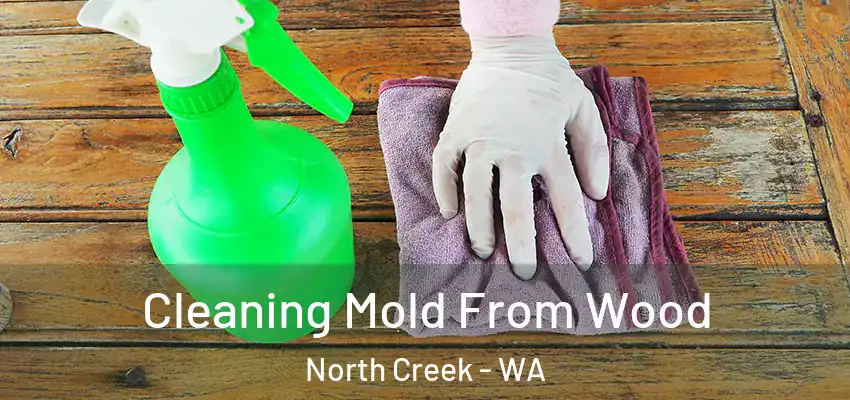  Cleaning Mold From Wood North Creek - WA